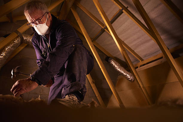 Best DIY Insulation Kits and Guidance in New Holland, PA